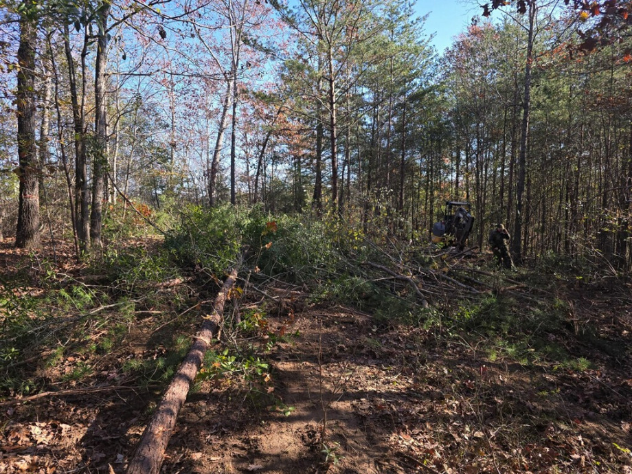 Land Clearing Services Septic Tank Installation 